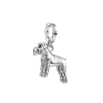 Charm Perro schnauzer