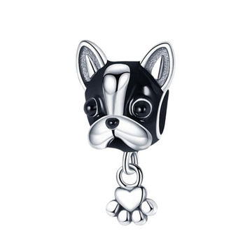 Charm Perro negro bull dog