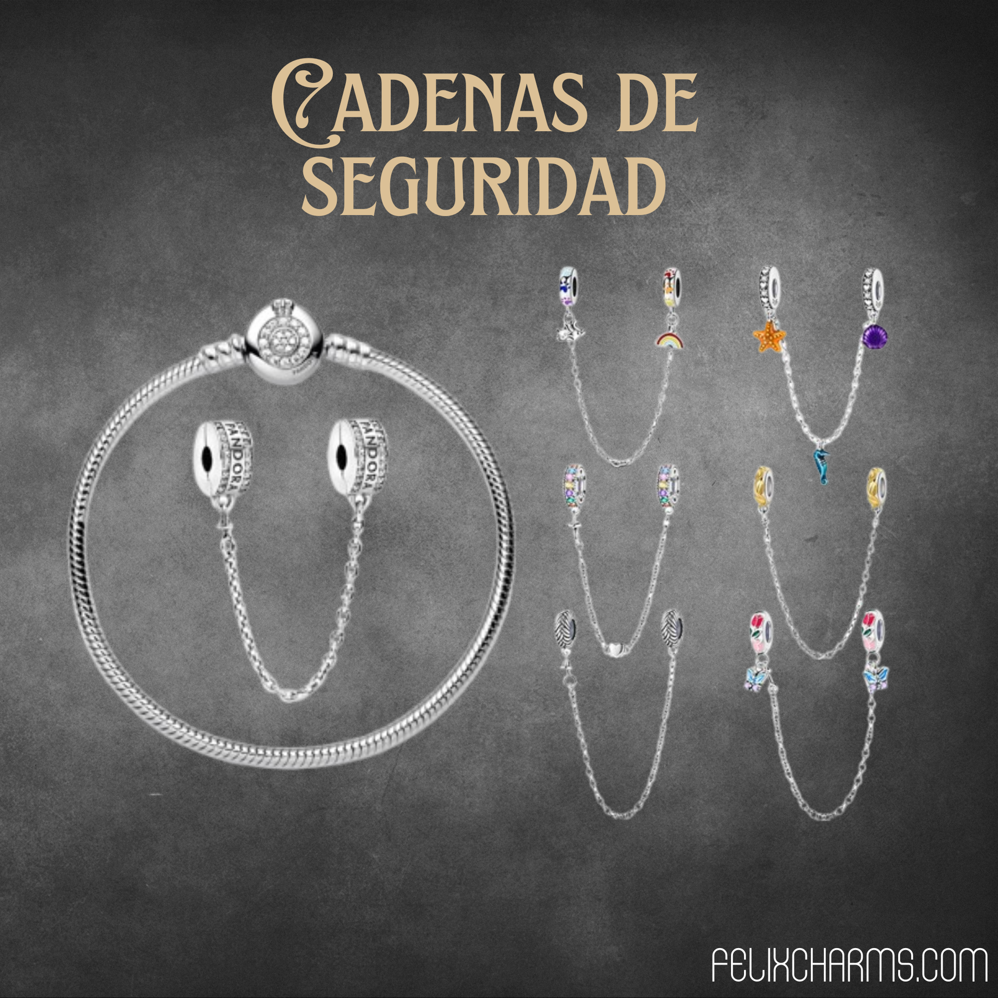 Cadenas de seguridad