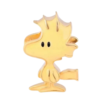 Charm Woodstock amigo Charly Brown