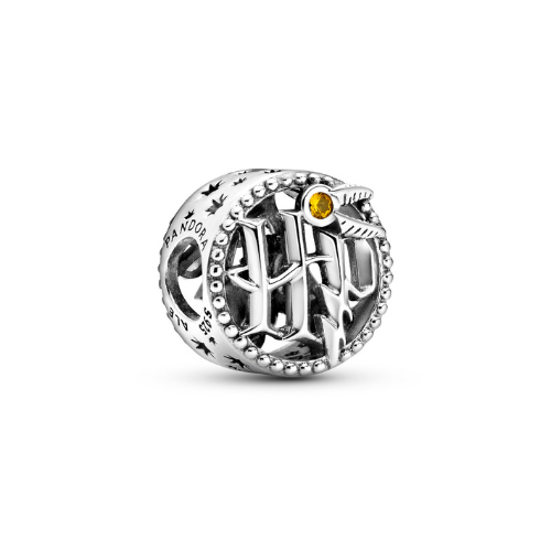 Charm HP Harry potter