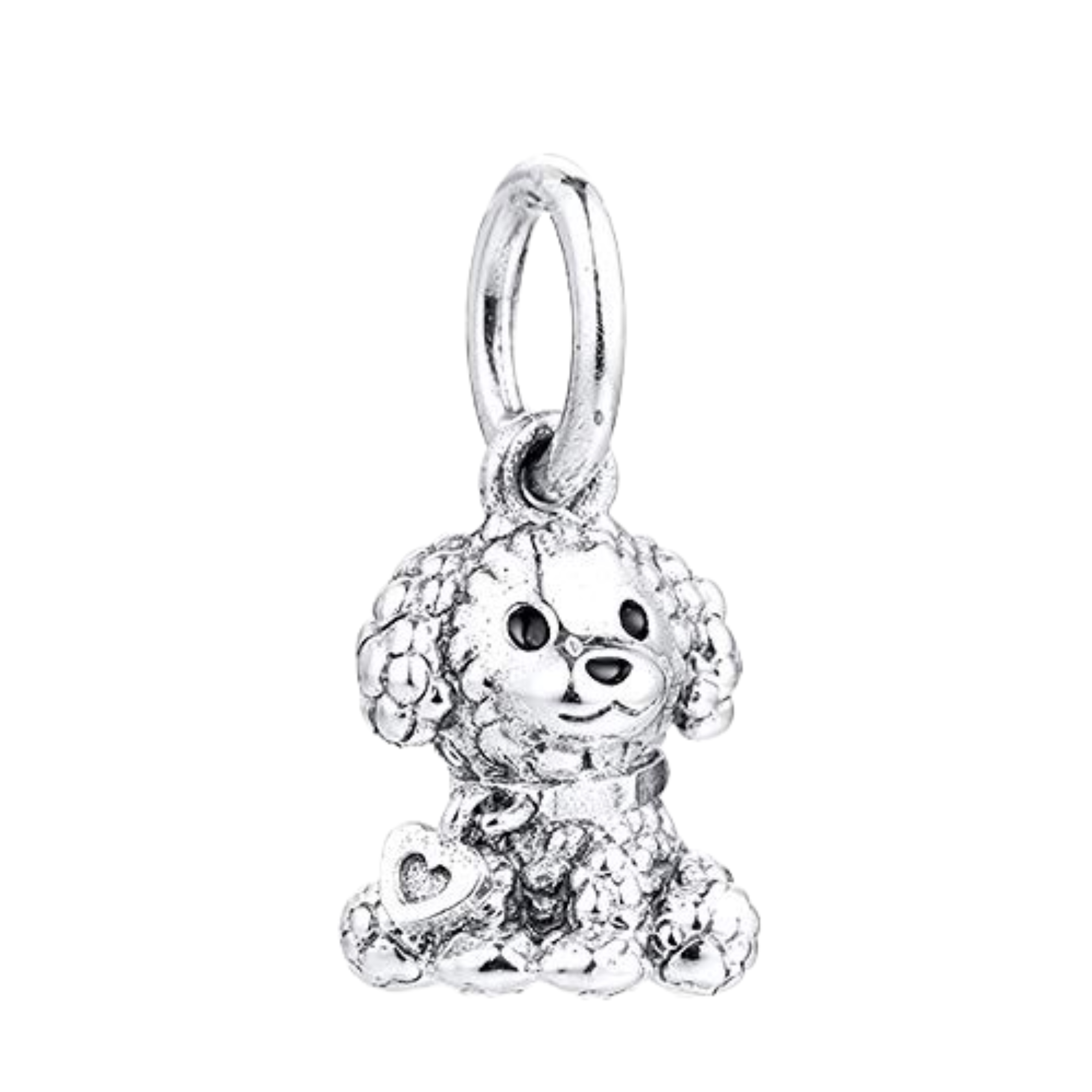 Charm Perro brillos French poodle