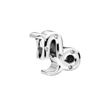 Charm Capricornio