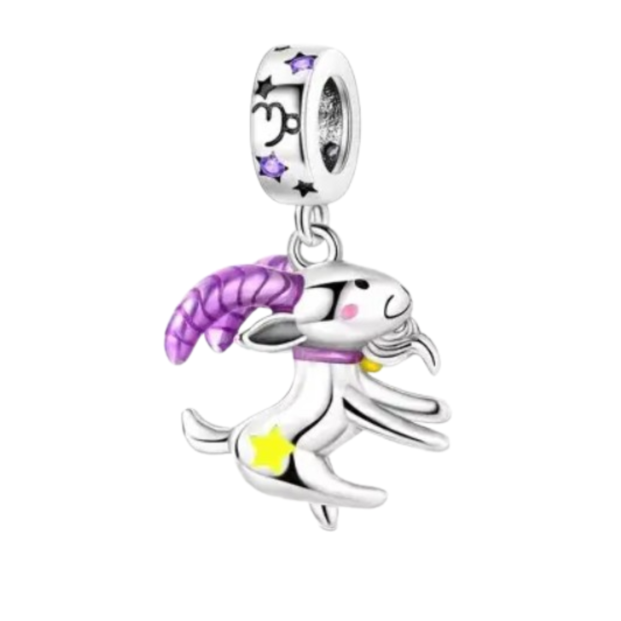 Charm Signo capricornio 1