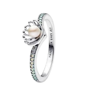 Anillo Ariel