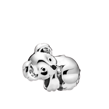Charm Koala 2